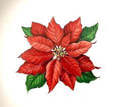 Hallmark Set Of 4 Poinsettia Bowls Red Holiday Flower Center Soup Cereal Hallmark Holiday Flower Poinsettia Flower Painting