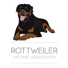 Rottweiler's are still used to herd livestock in different parts of the world, but they are now used more as search and rescue dogs, guard dogs, and as police dogs. Ohio Rottweiler Rescue Home Facebook