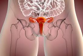 Image result for cervix position