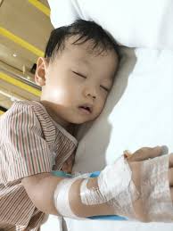 Help Dexter Fight Against Leukemia!