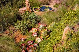 Gardeners love them for their drought resistance. Creating A Succulent Rock Garden Eco Balance Landscaping Ballito Garden Services Irrigation Paving