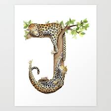 Pin By Natsuka Marcial On Preschool In 2020 Animal Alphabet Letters Animal Alphabet J Alphabet