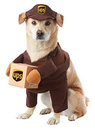 california costumes ups pal pet costume