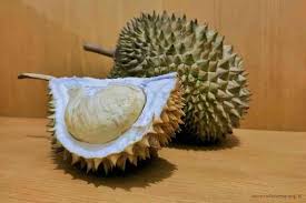 Tak heran jika durian dijuluki king of fruit karena rasanya yang unik. Baner Unik Durian Kocok Baner Unik Durian Kocok Sejarah Yan Yan Best Sampel Banner Yang Unik Dan Keren Untuk Sebagai Referensi Pembuatan Banner Untuk Keperluan Wisuda Durian Gundul Adalah Varietas