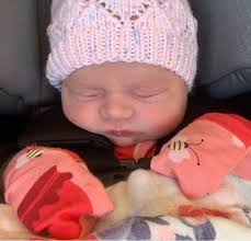 Bellevue Veterinary Hospital