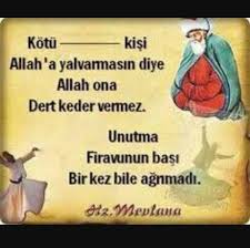 Dini Sekiller - Dini Sekiller added a new photo.