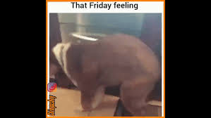 I do not own the video and the credits go to. That Friday Feeling Gif By Chimpasboy Gfycat