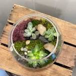 Wine & Vine Succulent Terrarium