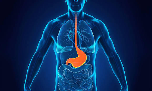 Acid reflux, Heartburn, and GERD: What's the difference? | NIH MedlinePlus  Magazine