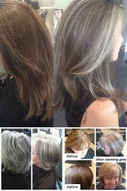 Blending Gray Hair With Highlights Bing Images Blending Gray Hair Hair Highlights Short Hair Balayage