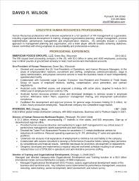 Account executives act as a bridge between their companies and their clients. Account Executive Sample Resume Examples 2019 Lebenslauf Vorlage