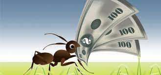 Effectively getting rid of carpenter ants requires reaching the ants you see and also the ones you don't. The Costs Of Not Doing Pest Prevention Ask Mr Little