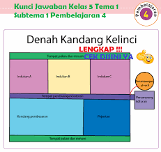 Lengkap Kunci Jawaban Kelas 5 Tema 1 Subtema 1 Pembelajaran 4 Kunci Jawaban Tematik Lengkap Terbaru Simplenews
