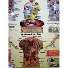 Therapis kadang tidak perlu menggunakan semua titik, tergantung kondisi pasien yang sedang diterapi. Shop Malaysia Poster Titik Bekam 9 In 1 Ready Stock Fast Delivery Shopee Singapore