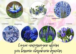 Синие и голубые цветы для вашего свадебного букета • cvetokbrest.by