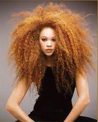 Mixed Race Girl Natural Hair Styles Curly Hair Styles Hair Styles