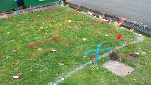 Look for the leak indicator. Underground Water Leak Simply Leak Detection