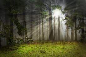 Free light ray photoshop action! Add Light Rays To A Photo In Photoshop