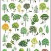Jun 09, 2010 · some of the most popular trees around today are fast growing trees. Https Encrypted Tbn0 Gstatic Com Images Q Tbn And9gctiewckz0ecqb7oqi9j9iqfvfapga6g2ysvcx0f7j8s4yppo64r Usqp Cau
