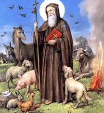 Scritto il 1 gennaio 20151 febbraio 2016. Il Santo Del Giorno 17 Gennaio Sant Antonio Abate Urbanpost