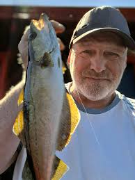 What's best fir pollock and cod