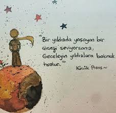 evet genelde cicegi oldurursunuz sadece uzaktan bakin sakin anlamaya tesebbus etmeyin iste kucuk prenste erkek sonu kitap alintilari sanatci sozleri kitap