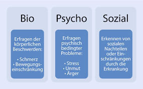 Anamnesebogen für fitnessstudio selber erstellen : Anamnese Springerlink