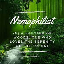 Nemophilist orman düşkünü nemophilist orman sever nemophilist ne demek. Facebook