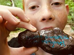 Looking for something to do this summer? Visit Calabogie Enchanted Woods