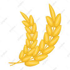 Gold Ripe Wheat Ear Icon Cartoon Style Style Icons Cartoon Icons Gold Icons Png And Vector With Transparent Background For Free Download Cartoon Styles Cartoon Icons Free Vector Graphics