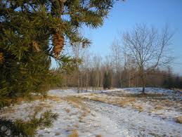 Wau-Ke-Na not the same walk twice