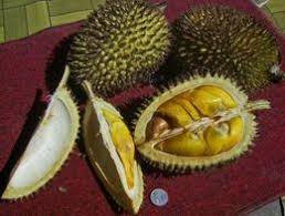 Manfaat daun durian bagi kesehatan yang belum banyak diketahui oleh masyarakat indonesia, bisa di coba untuk mengatasi masalah kesehatan. Design And Analysis On Durian Opener Ling Chai Voon Pdf Free Download