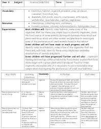 Creative Curriculum Lesson Plan Template New Creative Curriculum Planning Sample Plan In 2020 Curriculum Lesson Plans Curriculum Planning Creative Curriculum Preschool