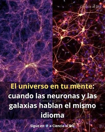  El universo y el cerebro: dos redes que se espejean Cuando observamos  un mapa de galaxias y una imagen del cerebro humano bajo un microscopio,  surge una sorprendente similitud: ambos muestran