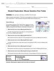 Mouse genetics one traits gizmo answer key keywords: Mouse Genetics Gizmo Answer Key Pdf 100 Points Lab Mouse Genetics One Trait Lab Report Brainly Com Genetics Basics Inherited Traits Are Encoded On A Molecule Called Dna Judiej Reed