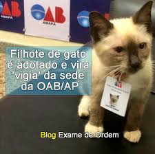 Opera com maior escopo e especialização em dupla nacionalidade: Mero Aborrecimento Advogado Faz Critica Com Meme Em Peticao Blog Exame De Ordem Mauricio Gieseler