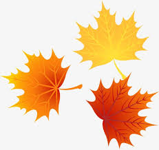 Vector Autumn Leaves 1 Png And Vector Autumn Leaves Free Png Free Png Downloads