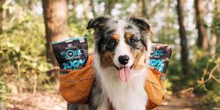 State holidays are holidays for the government and public sector in that state and many. Complete List Of 2020 Pet Holidays Wellness Pet Food
