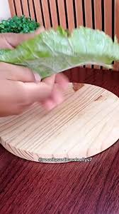 Beatriz Grajeda (b_grajeda)