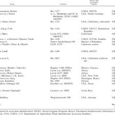 Image result for Ophrestia radicosa