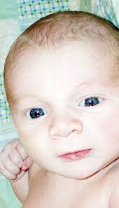 New Arrival: Miles Franklin