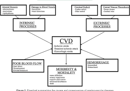 Image result for Stroke Pathophysiology