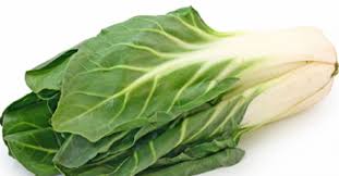 Cicla) è una varietà di barbabietola (beta vulgaris), pianta appartenente alla famiglia delle chenopodiaceae (amaranthaceae secondo la classificazione apg Die Mangold Saison Startet Eat Smarter