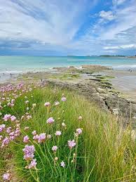 We did not find results for: Meteo En Bretagne De Belles Eclaircies En Vue Pour Le Pont De L Ascension Le Petit Bleu