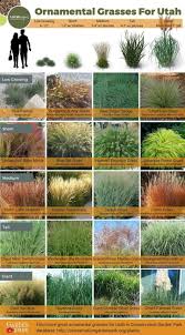Where some landscaping schemes use grass and large oak or spruce trees, or the flowers and shrubbery that consist of an english garden style, desert landscaping. 15 Utah Landscape Ideas Plants Landscape Planting Flowers