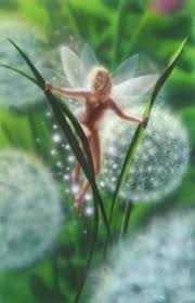 Pinterest Fairy Art Fantasy Fairy Beautiful Fairies