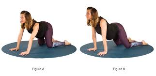 One teacher i know believes it is inappropriate to practice during the 1st trimester, while another. 24 Pregnancy Yoga Poses For A Strong Healthy Safe Pregnancy