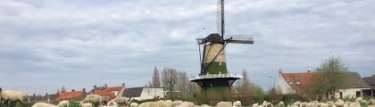 Portretfoto voor de release van kijk, daar gaat ie. Hans Van Der Pluijm