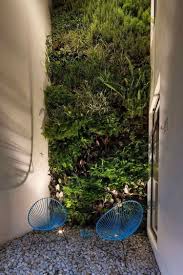 Mur Vegetal Interieur En 80 Idees Pour La Maison Ecologique Moderne Avec Images Mur Vegetal Interieur
