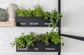 maak zelf een kruidenrekje in de keuken karwei kamerplant decor keuken planten kruidentuin binnen